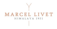 logo MARCEL LIVET ski artisanal en bois