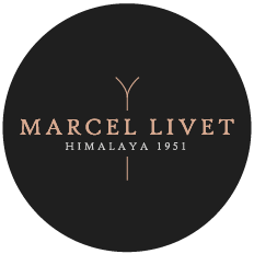 logo MARCEL LIVET ski artisanal en bois